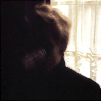 Days In The Wake - Vinyl LP