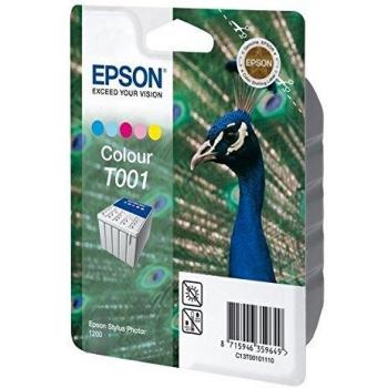Epson C13T00101110 - Cartucho de tinta, color