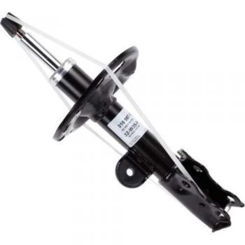 SACHS 316987