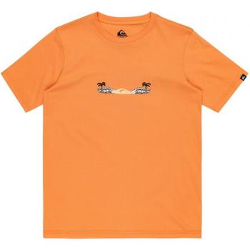 Camiseta de niños Quiksilver Surf Core manga corta naranja - 16
