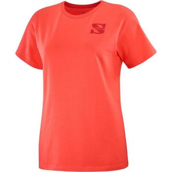 Camiseta de Manga Corta Hombre Salomon Outlife Small Logo Naranja