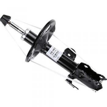 SACHS 316988