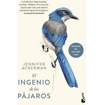 El ingenio de los pájaros