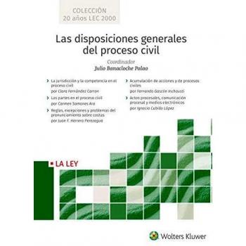 Las disposiciones generales del proceso civil