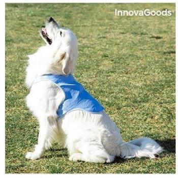 InnovaGoods IG814007 Chaleco Refrescante para Mascotas Grandes, L, Azul