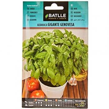 Semillas Batlle - Albahaca GIGANTE Genovesa