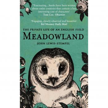 Meadowland: the private life of an English field