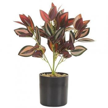 Planta Artificial Tradescantia en Maceta Negra 35 cm - Material Sintético Verde y Rojo