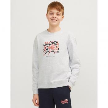 Sudadera Jack&Jones Junior Aruba gris cuello redondo sin capucha para niño