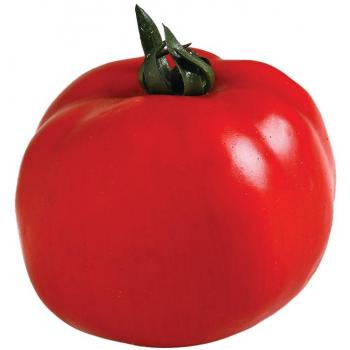 Tomate Rojo Decorativo Catral - Tipo de producto: decoración; Características: color rojo brillante, diseño realista, material resistente a la intemperie, ideal para jardines y espacios exteriores, fácil de limpiar