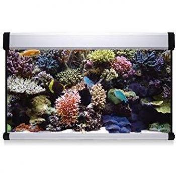 ICA KXM100B Kit Aqua Lux Pro 100 con Filtro Interior, Crema