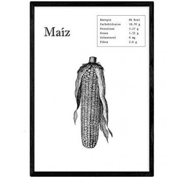 Póster de Maíz Nacnic - Láminas A4 de Frutas y Verduras