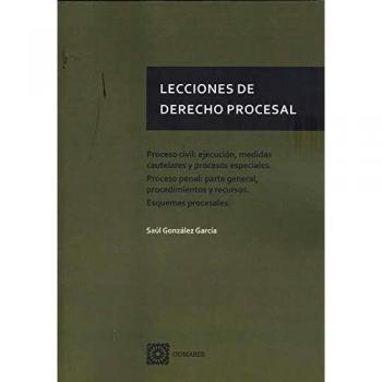 Lecciones de Derecho Procesal: Proceso civil: ejecución, medidas cautelares y procesos especiales. Proceso penal: parte general, procedimientos y recurso. Esquemas procesales