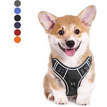 HEELE Arnes Perro Arnes Perro Pequeño Arnés Perros Antitirones Arneses Chaleco para Perro Ajustable Reflectante Negro, S