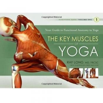 Key Muscles of Yoga: Your Guide to Functional Anatomy in Yoga