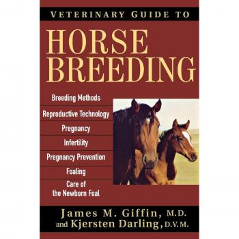 Veterinary Guide to Horse Breeding