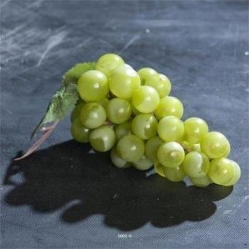 Artificiales - De Racimo De Uvas Verde Artificial L 14 cm con hojas - choisissez votre, colores: verde