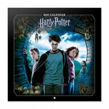 Calendario de pared 2025 Harry Potter Películas 30x30 cm multicolor con espacio para anotar e ilustraciones