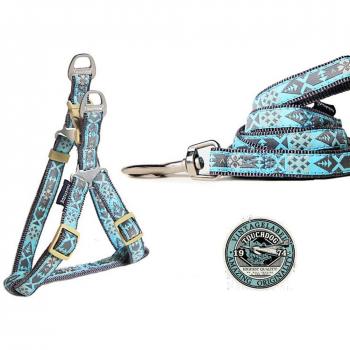 2 en 1 Arnes con Correa Ajustable Chaleco Pechera y Correa Nylon para Mascotas Pasear Gris M