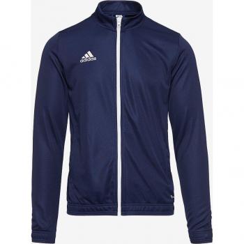 Chaqueta Entrada 22 Adidas para hombre