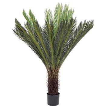 Planta Cycas con Maceta 28 Hojas 120 cm