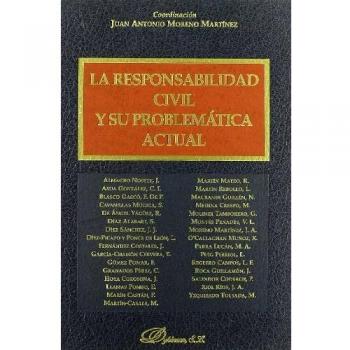 La responsabilidad civil y su problematica actual