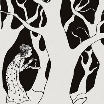 Wilderness Of Love [Vinilo]