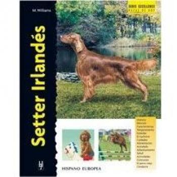 Setter Irlandés