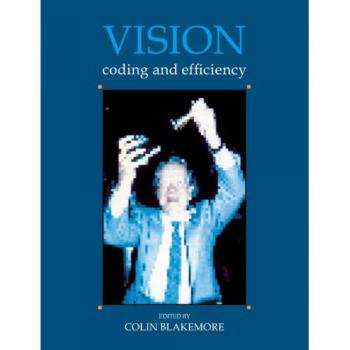Vision: Programación y Eficiencia PB Cambridge
