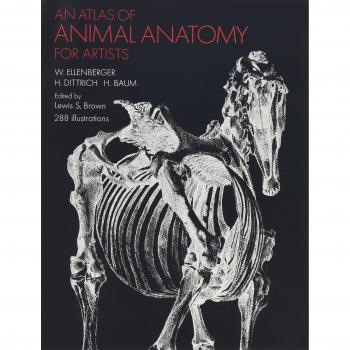An Atlas of Animal Anatomy for Artists