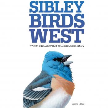 Sibley Field Guide to Birds of Western North America: Field Guide to Birds of Western North American