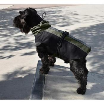 Chubasquero Nayeco Impermeable Hiking Verde para Perro - XL - 55 cm