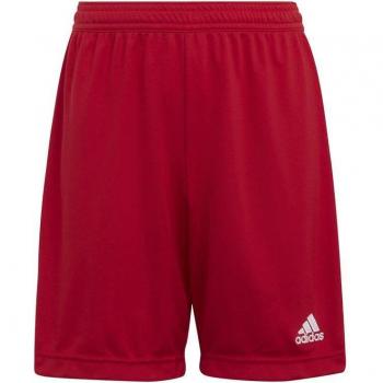 Pantalones Cortos Entrada 22 Rojo Niño