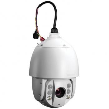 Trendnet TV-IP450PI - Cámara de vigilancia en domo de 1.3 Mp