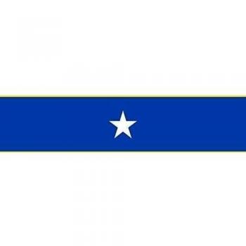 Municipio de Viterbo Caldas Bandera 20x30cm para Diplomat-Flags Banderas de Coche