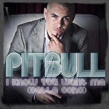 Pitbull (24x24 inch, 60x60 cm) Silk Poster Seda Cartel PJ13-420B