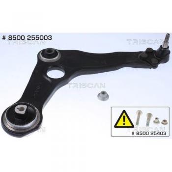 Triscan Barra de suspensión oscilante para RENAULT Mégane y Scénic (Ref: 8500 255003)