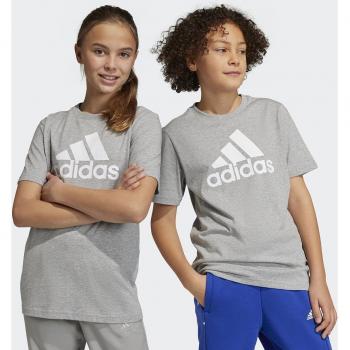 Camiseta de niños Adidas Essentials Big Logo Cotton