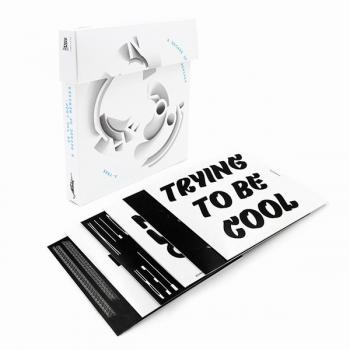 In the loop : a decade of remixes [Vinilo]