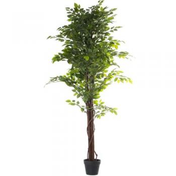 Planta Decorativa Plástico Ficus 16 x 16 x 162 cm