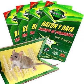 Trampa de ratón profesional de Zoore, adhesivo de ratón fácil de usar, paquete de 4