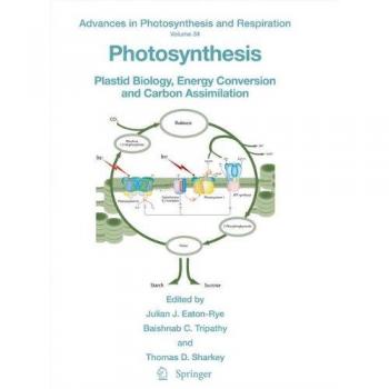 Photosynthesis: Plastid Biology and Energy Conversion Principles