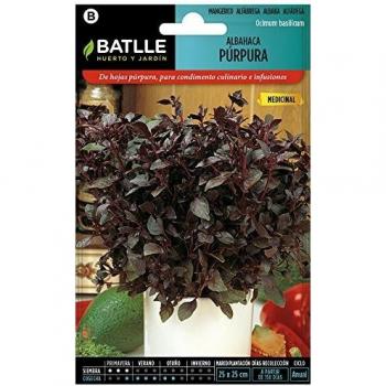 Semillas de Albahaca Púrpura Aromática - 2g