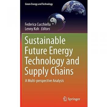 Sustainable Future Energy Technology and Supply Chains: A Multi-perspective Analysis