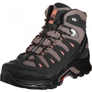 Salomon Quest Prime GTX W Calzado para senderismo taupe