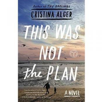 This Was Not the Plan: A Novel