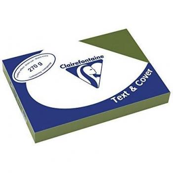 Clairefontaine Text & Cover - Mini resma de cartulina, 100 hojas, A4, 21 x 29.7 cm, color verde