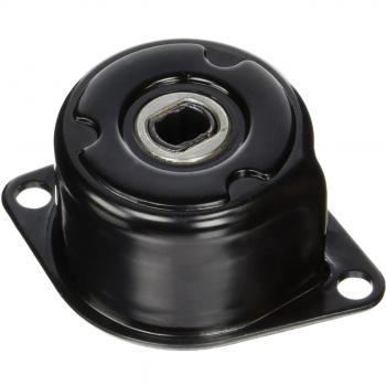 Mapco 24856 Tensor de correa, correa poli V