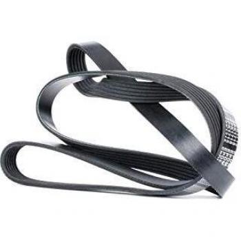 Meyle 050 006 1715 Correa trapecial poli V