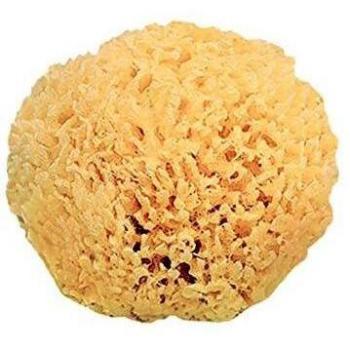 Saro - Esponja Natural Saro 0m+